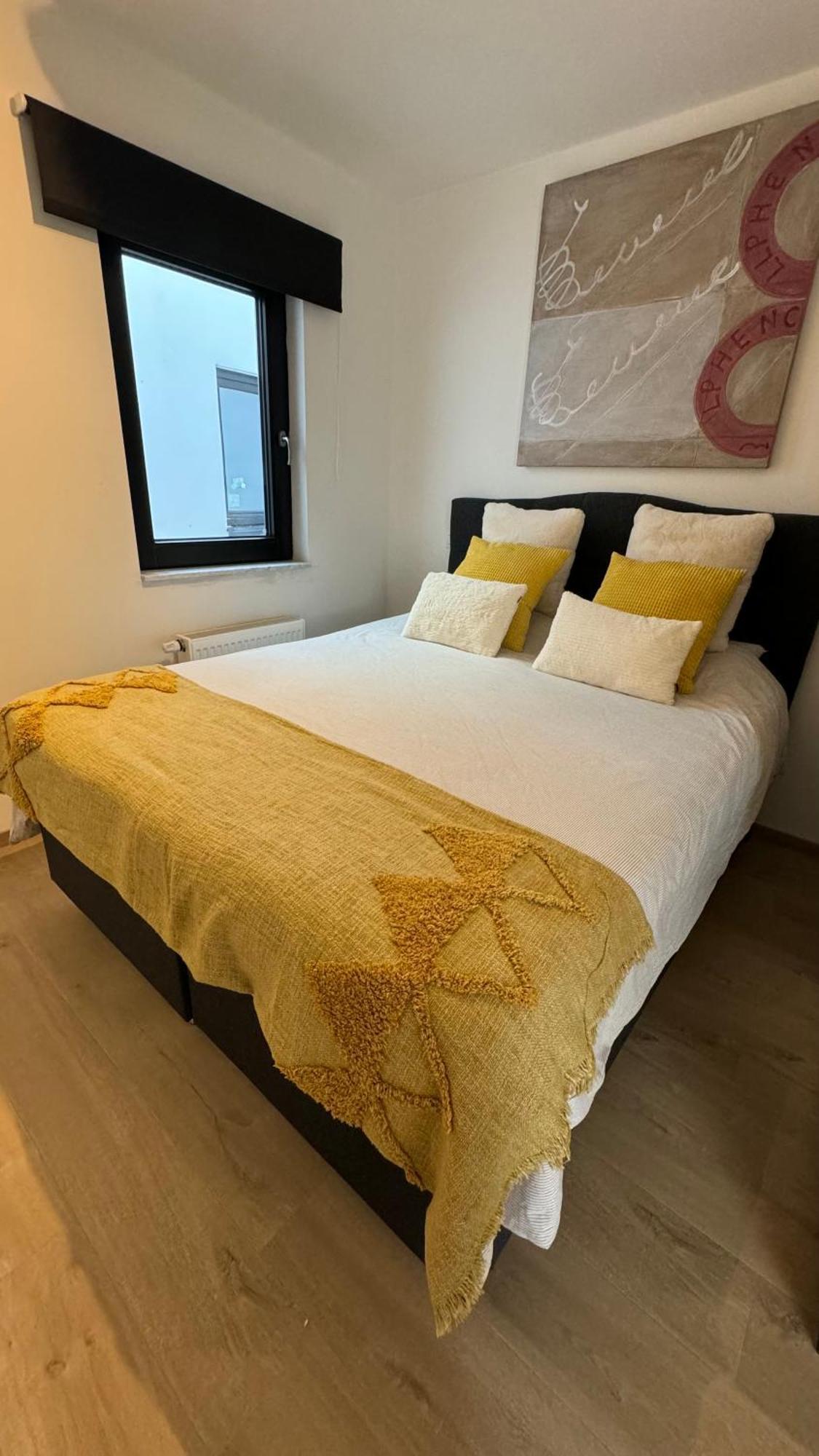 Viki'S Penthousje Lägenhet Blankenberge Exteriör bild